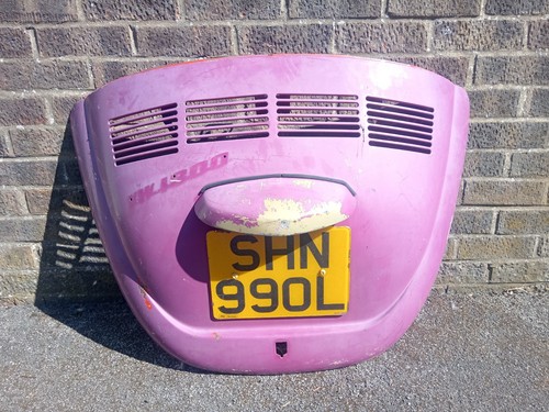 Genuine vintage beetle - genuine,